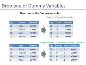 machine learning dummy variable (i2tutorials)