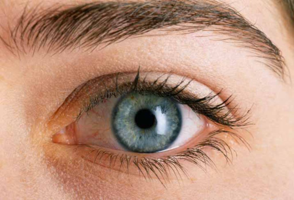Eye AI (i2tutorials)