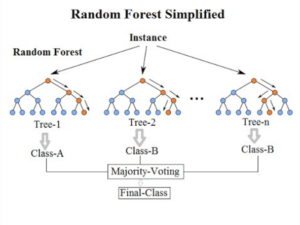 Machine Learning- Random Forest | i2tutorials