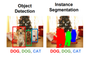 Object Detection vs Object Recognition vs Image Segmentation | i2tutorials