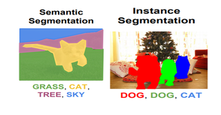 Object Detection vs Object Recognition vs Image Segmentation | i2tutorials