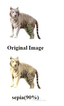 css filter