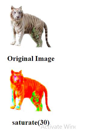 css filter