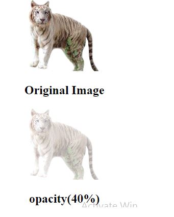 css filter