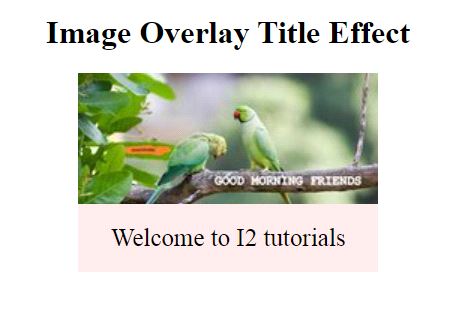 CSS Hover
