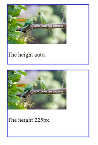 CSS height