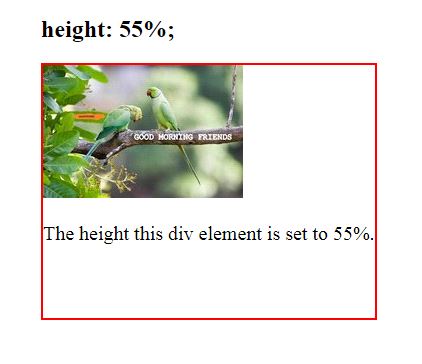 CSS height