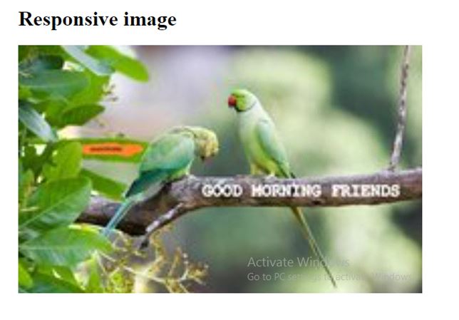CSS Images