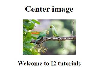 CSS Images