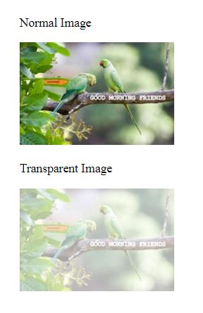 CSS Opacity