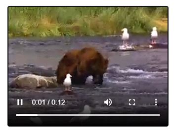 HTML Video