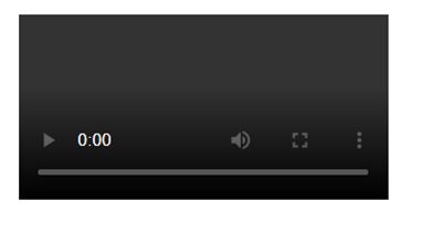 HTML Video