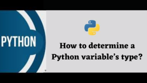 How to determine a Python variable's type