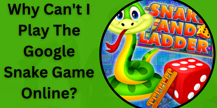 Why Can't I Play The Google Snake Game Online?